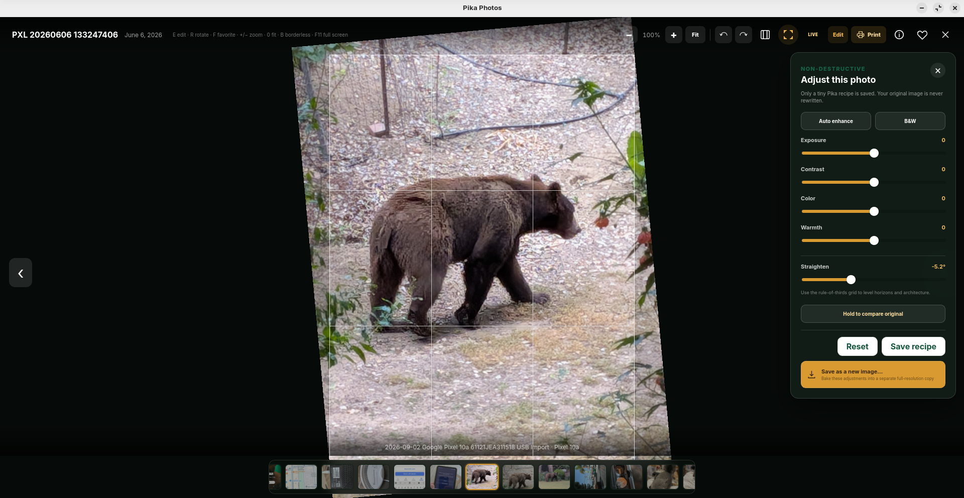 Pika Photos non-destructive editor with straighten slider and rule-of-thirds grid
